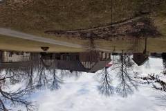20190311_095541